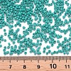 Glass Cylinder Beads SEED-S047-A-034-5