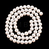 Electroplated Shell Pearl Beads Strands BSHE-C011-01A-2