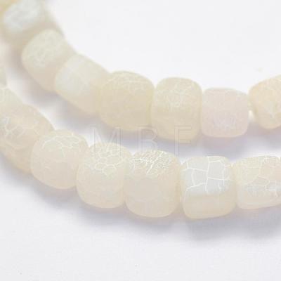 Natural Weathered Agate Beads Strands G-G705-10mm-04-1