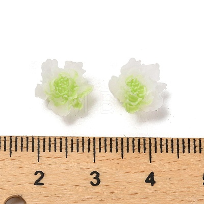 Luminous Resin Decoden Cabochons RESI-K036-06F-02-1