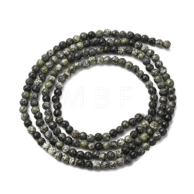Natural Serpentine/Green Lace Stone Beads Strands G-Z116-A16-2mm-1