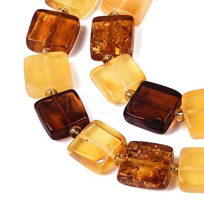 Natural Amber Beads Strands G-N371-15B-01-1