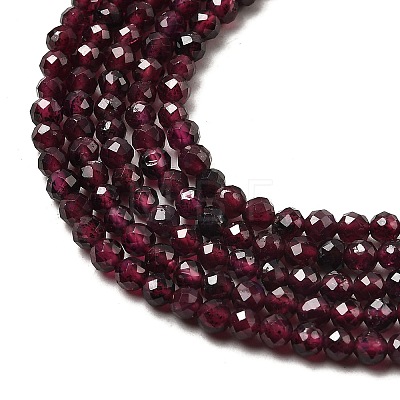 Natural Garnet Beads Strands G-I341-09B-01-1