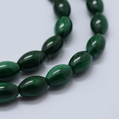 Natural Malachite Beads Strands G-F571-21-C-1