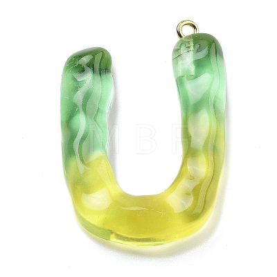 Resin Pendant FIND-Q107-01U-02-1