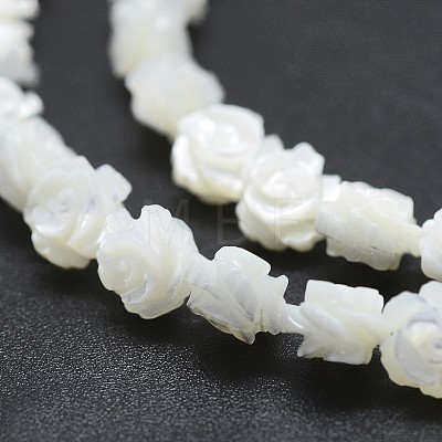 Natural White Shell Beads Strands SSHEL-P015-01A-10mm-1