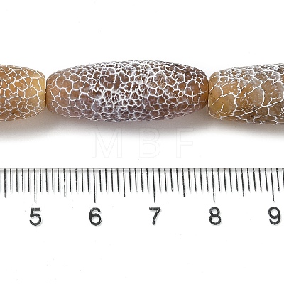 Natural Weathered Agate Beads Strands G-Q169-D04-01A-1