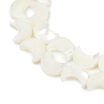 Natural White Shell Beads Strands SSHEL-10X12-1