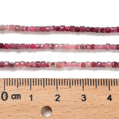 Gradient Color Natural Pink Tourmaline Beads Strands X-G-K373-A03-01-1