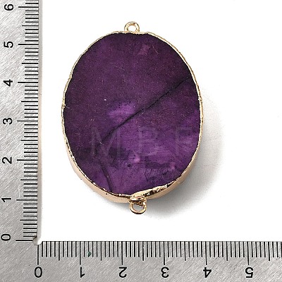 Dyed Natural Druzy Agate Oval Links Connector Charms G-P614-02G-01-1