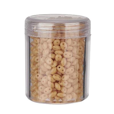 Czech Glass Seed Beads SEED-JP0005-13020-1