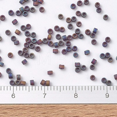 MIYUKI Delica Beads X-SEED-J020-DB0884-1