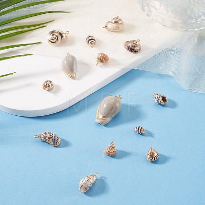 14Pcs 7 Styles Electroplated Natural Mixed Shell Pendants BSHE-TA0001-34A-1