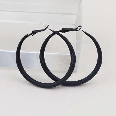 Spray Painted Alloy Hoop Earrings FS-WG43B6B-02-1