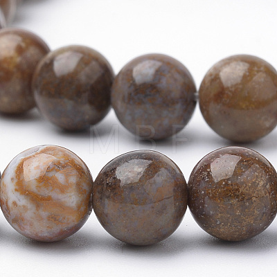 Natural Petrified Wood Beads Strands G-Q462-136-6mm-1