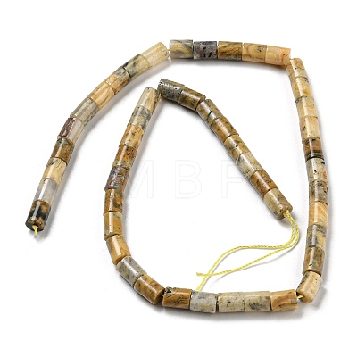 Natural Crazy Agate Beads Strands G-Q1008-A08-1