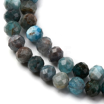 Natural Apatite Beads Strands LS-G-A276-C08-4mm-01-1