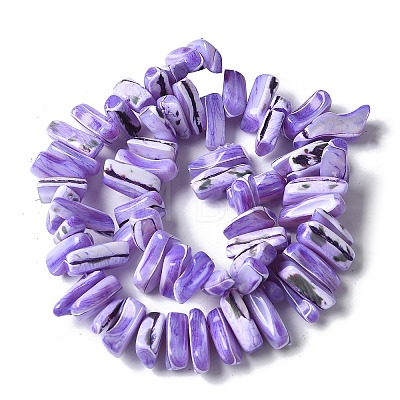 Dyed Natural Trochus Shell Beads Strands SSHEL-C013-09N-1