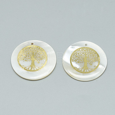 Freshwater Shell Pendants X-SHEL-Q016-016-1