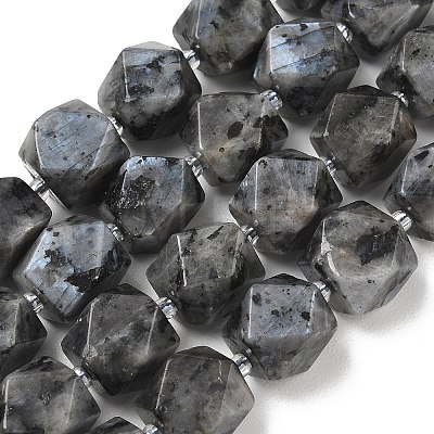 Natural Labradorite Beads Strands GG-CBAF8A8-A05-01-1