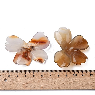 Natural Red Agate Carved Beads G-L650-O01-01-1