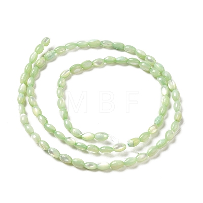 Natural Trochus Shell Beads Strands SHEL-K006-19E-1