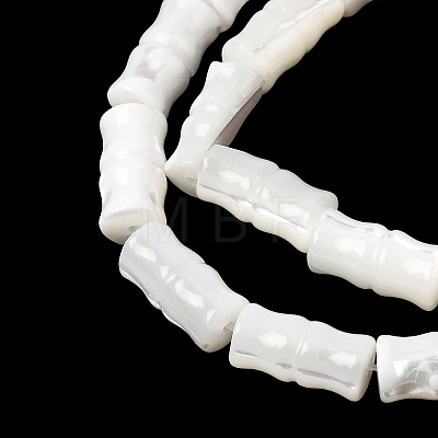 Natural Trochid Shell/Trochus Shell Beads Strands SHEL-A006-06A-1