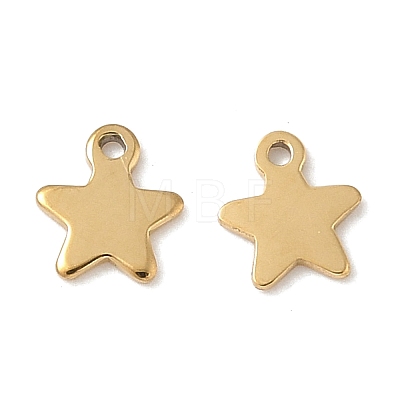 304 Stainless Steel Charms STAS-K306-15A-G-1