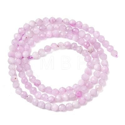 Natural Kunzite Beads Strands G-G259-D11-3mm-01-1