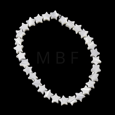 Natural Trochid Shell/Trochus Shell Beads Strands SH-CBA2978-17A-1
