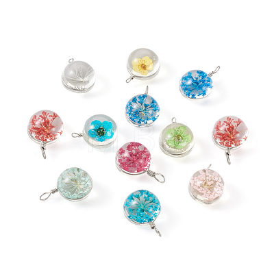 Craftdady 30pcs 15 colors Transparent Glass Pendants GLAA-CD0001-07-1