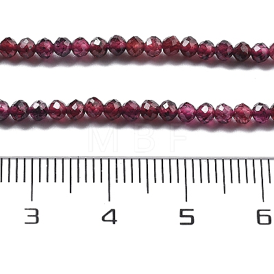 Natural Garnet Beads Strands G-H079-A01-02B-1