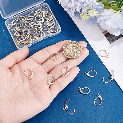 50Pcs 304 Stainless Steel Leverback Earring Findings STAS-BBC0011-12-1