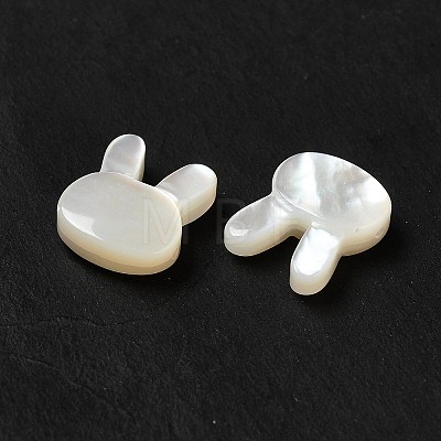 Natural White Shell Beads BSHE-E026-05-1
