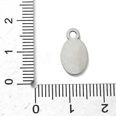 304 Stainless Steel Charms STAS-P422-05P-1