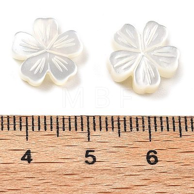 Natural White Shell Carved Beads SSHEL-Z002-02A-1