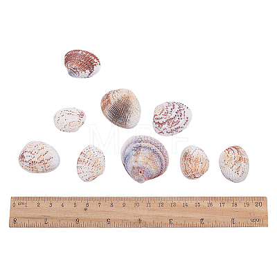 1 Box Scallop Seashells Clam Shell Dyed Beads with Holes for Craft Making 40-50pcs BSHE-YW0001-01-1