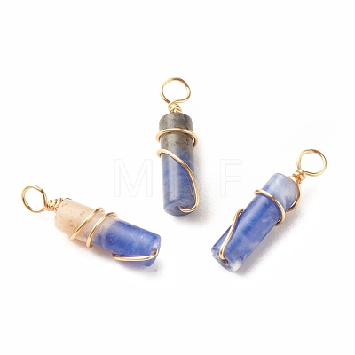 Natural Sodalite Pendants PALLOY-JF01453-03-1