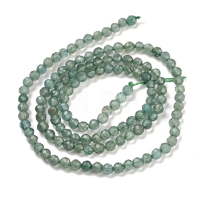 Natural Green Apatite Beads Strands G-G105-A01-02-1