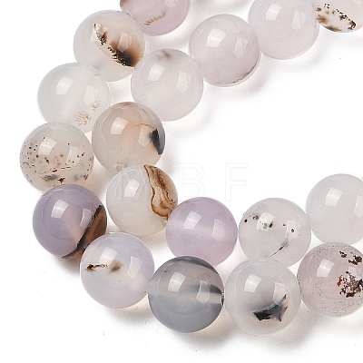 Natural Dendritic Agate Beads Strands G-A248-A07-04-1