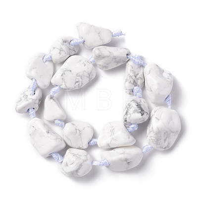 Natural Howlite Beads Strands G-B024-07-1