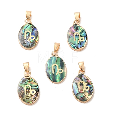 Constellation Natural Paua Shell Pendants KK-P265-01G-08-1