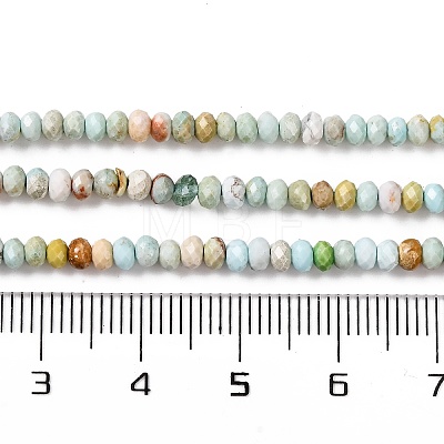 Natural Howlite Beads Strands G-H025-03B-06-1