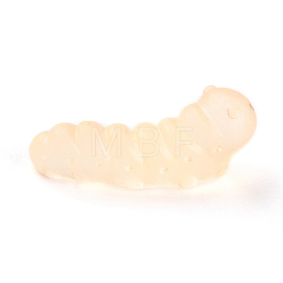 Luminous Resin Worm Ornament DJEW-R011-01C-05-1