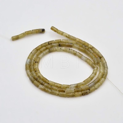 Column Natural Labradorite Beads Strands G-N0153-43-1