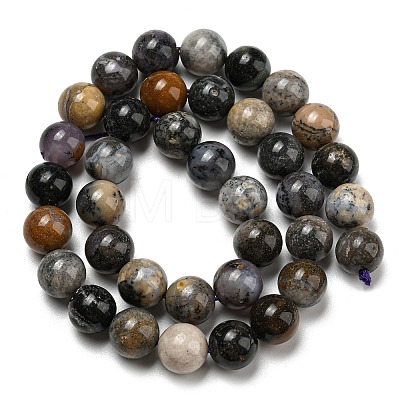 Natural Dendritic Jasper Beads Strands G-R494-A23-04-1