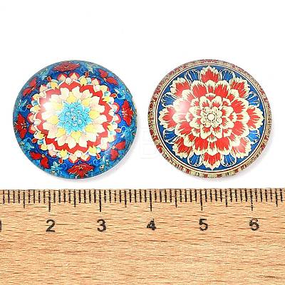 12Pcs Glass Cabochons X1-GGLA-S059-05-1