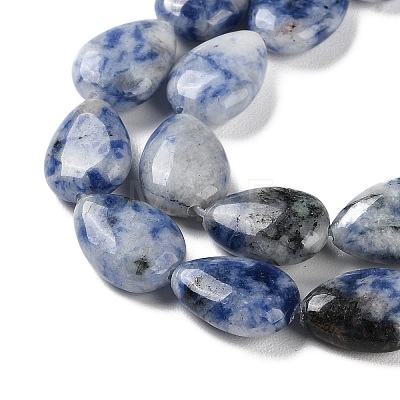Natural Blue Spot Jasper Beads Strands G-K357-A06-01-1