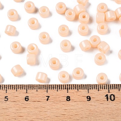 Opaque Baking Paint Glass Seed Beads SEED-T008-02C-1