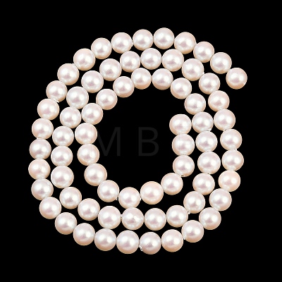 Electroplated Shell Pearl Beads Strands BSHE-C011-01A-1
